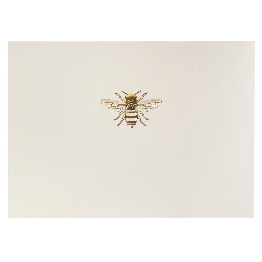 Bee boxed notecards - Daisy Park