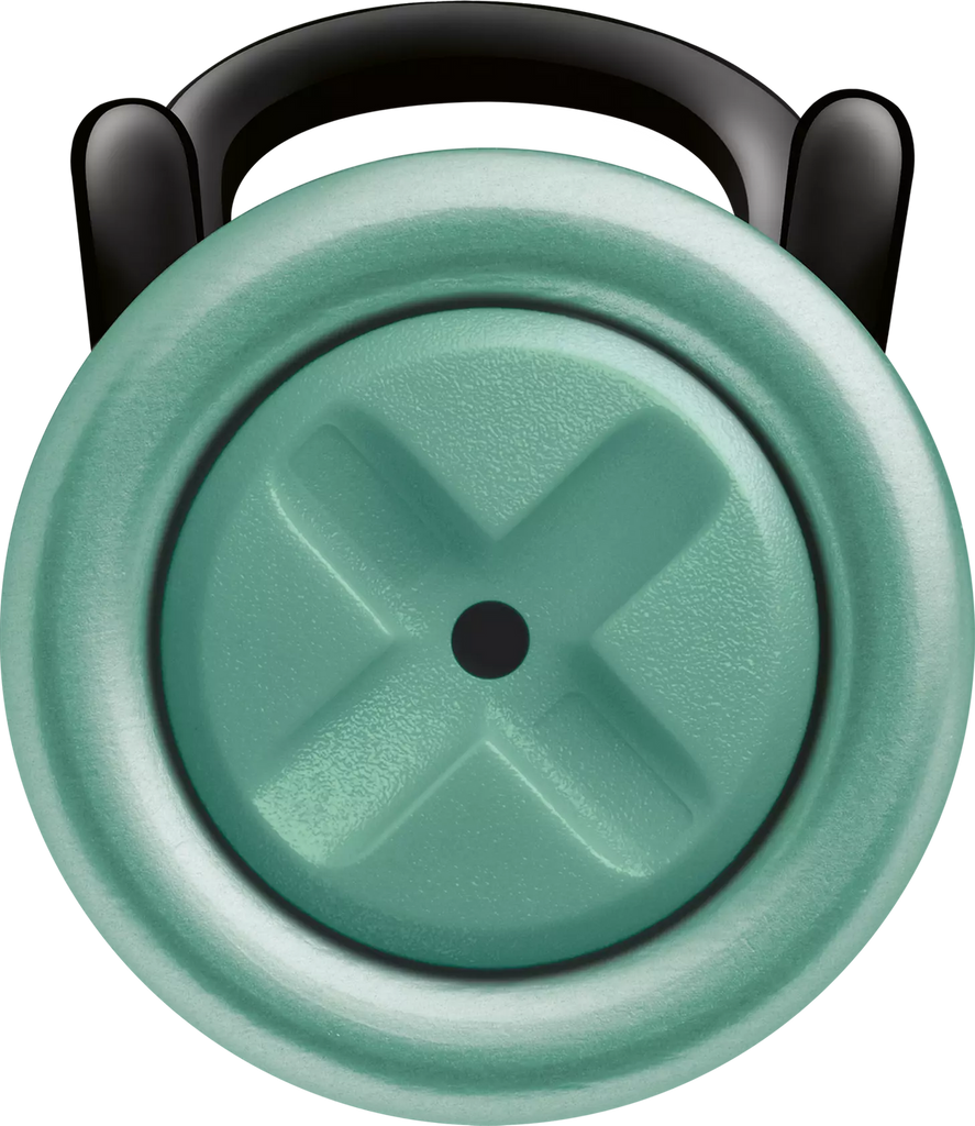 Lamy AL-star Mint fountain pen - Special Edition - Daisy Park