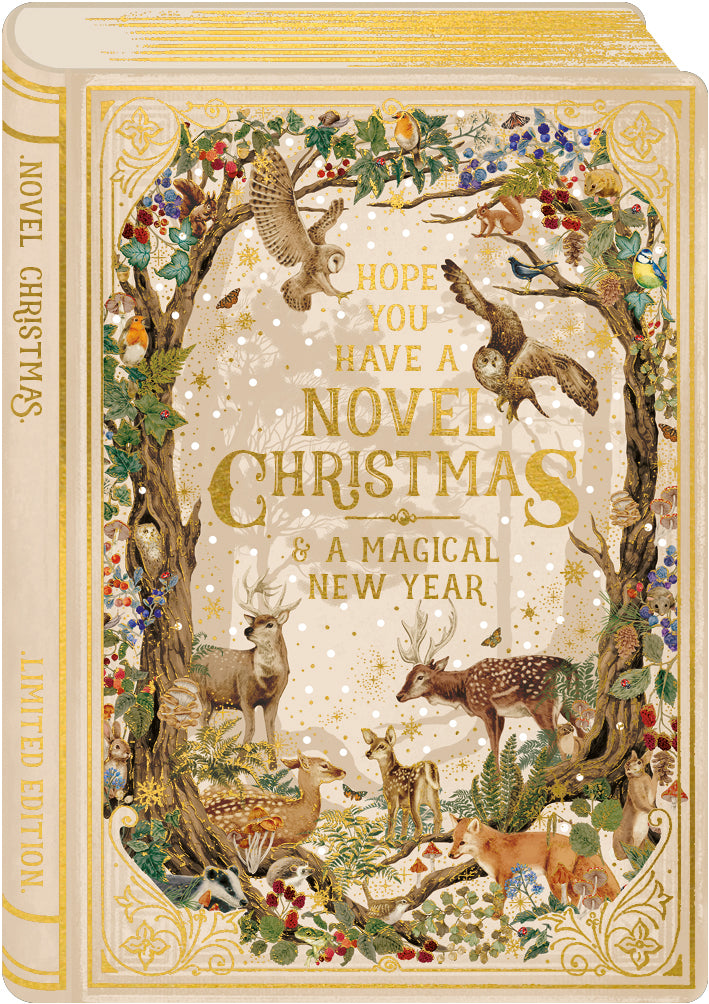 A Novel Christmas card - Daisy Park