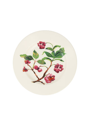 Emma Bridgewater Spindle 8.5" Plate - Daisy Park