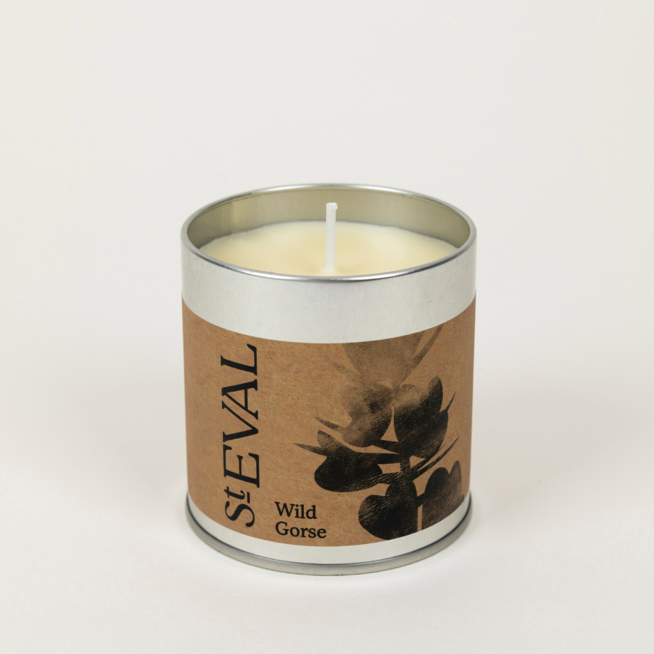 St Eval Wild Gorse Tin Candle - Daisy Park