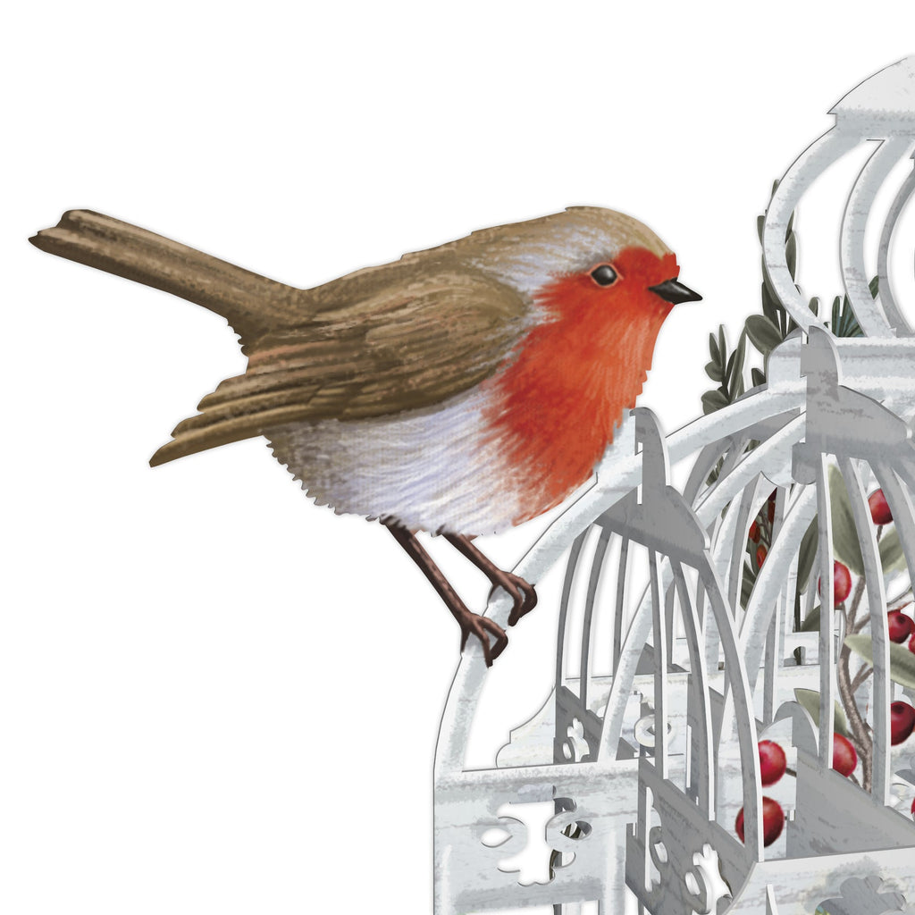 Christmas Flower cage 3D Christmas card - Daisy Park