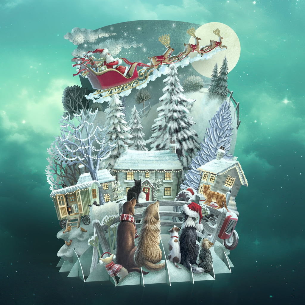 It's Santa 3D Christmas card - Daisy Park