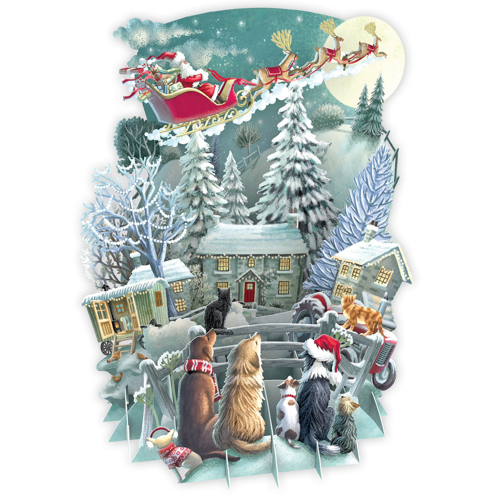 It's Santa 3D Christmas card - Daisy Park