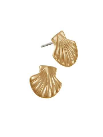 Clam shell studs - Matte gold - Daisy Park