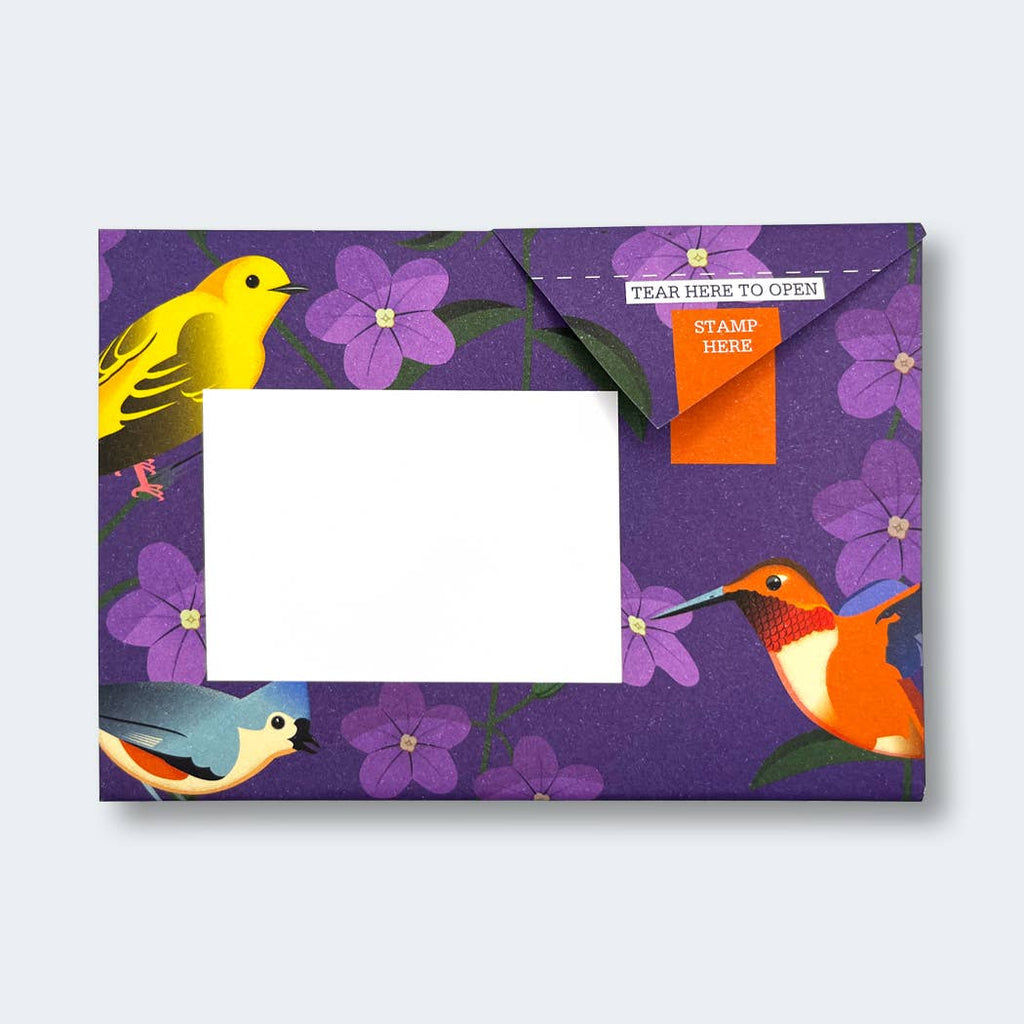 Carnival of Colour Pigeon letter pack - Daisy Park