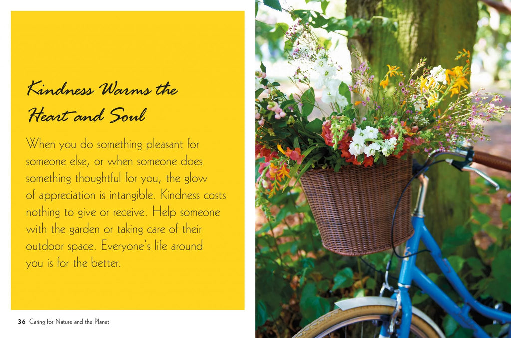 Mindful Gardening book - Daisy Park