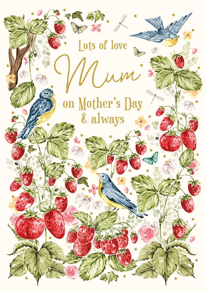 Lots of love Mum on Mother's day card - Daisy Park