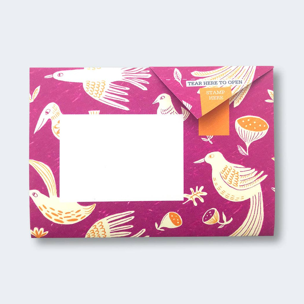 Fig & Feather Pigeon letter pack - Daisy Park