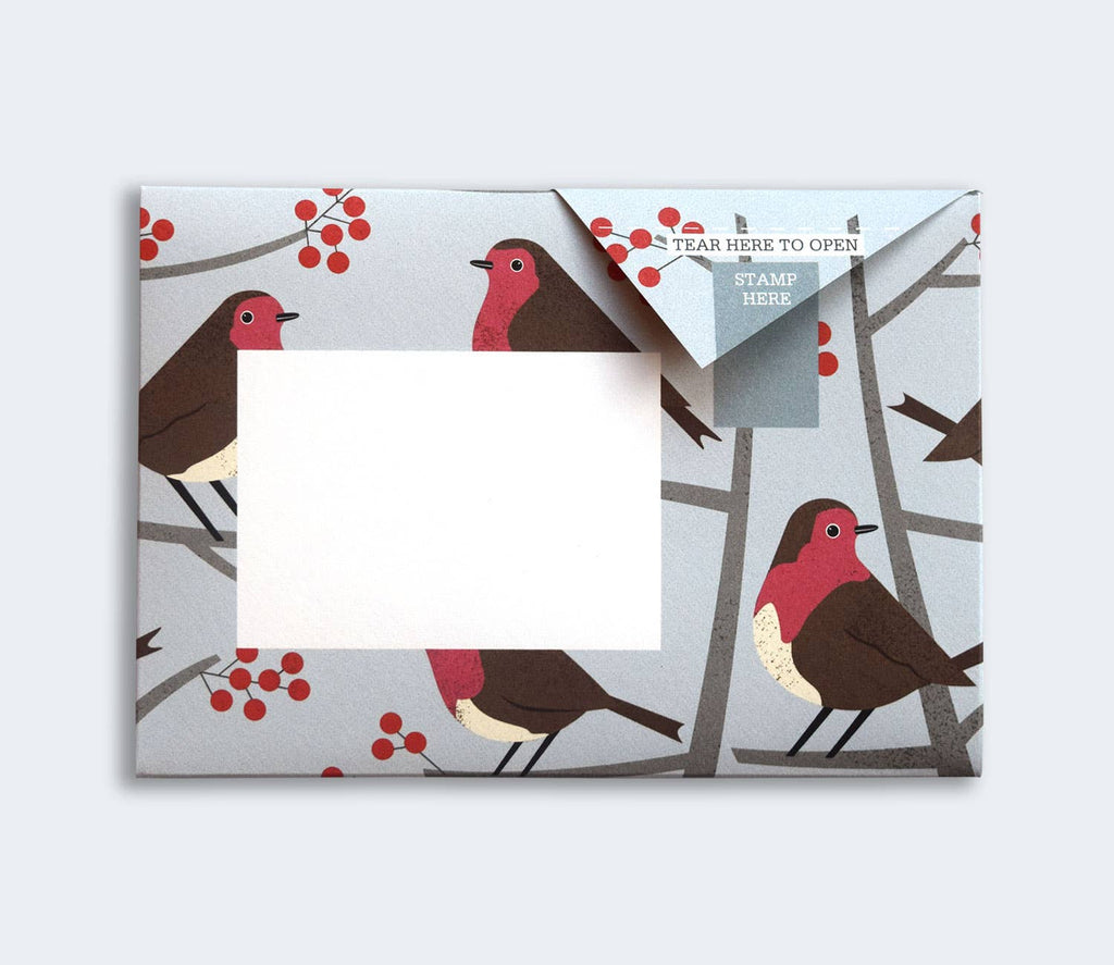 Robin & Wren Pigeon letter pack - Daisy Park
