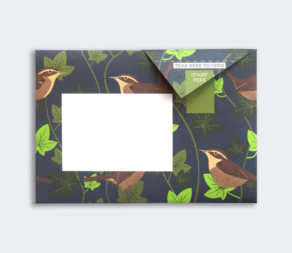 Robin & Wren Pigeon letter pack - Daisy Park