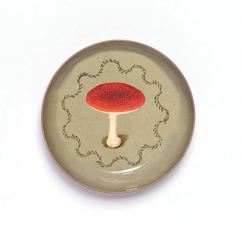 Enamel Printed Tray - Mushroom - Daisy Park