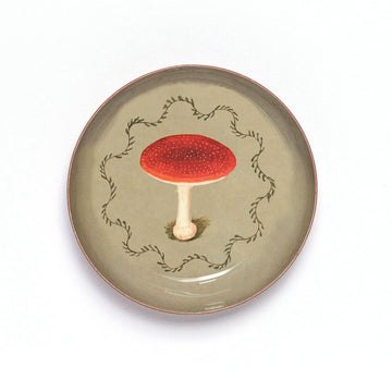Enamel Printed Tray - Mushroom - Daisy Park