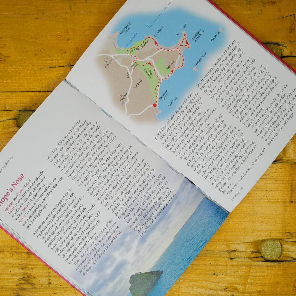 Devon: 40 Coast and Country Walks - Daisy Park