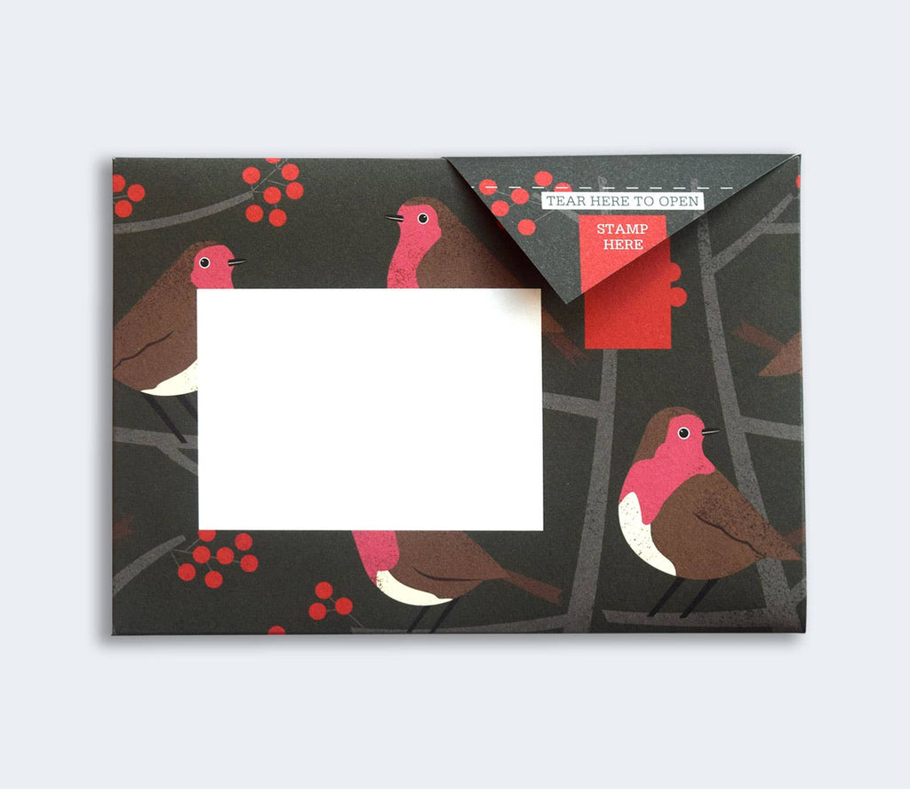 Robin & Wren Pigeon letter pack - Daisy Park