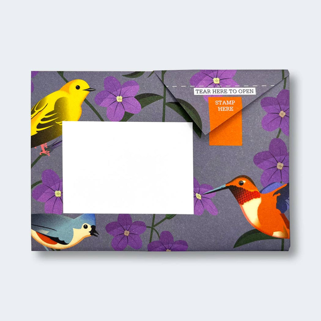 Carnival of Colour Pigeon letter pack - Daisy Park