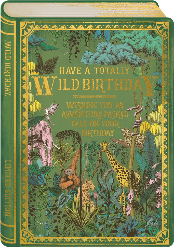 Wild birthday books card - Daisy Park