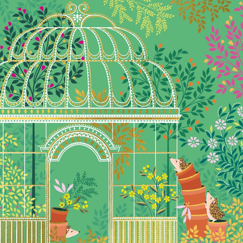 Hedgehogs & green house blank card - Daisy Park