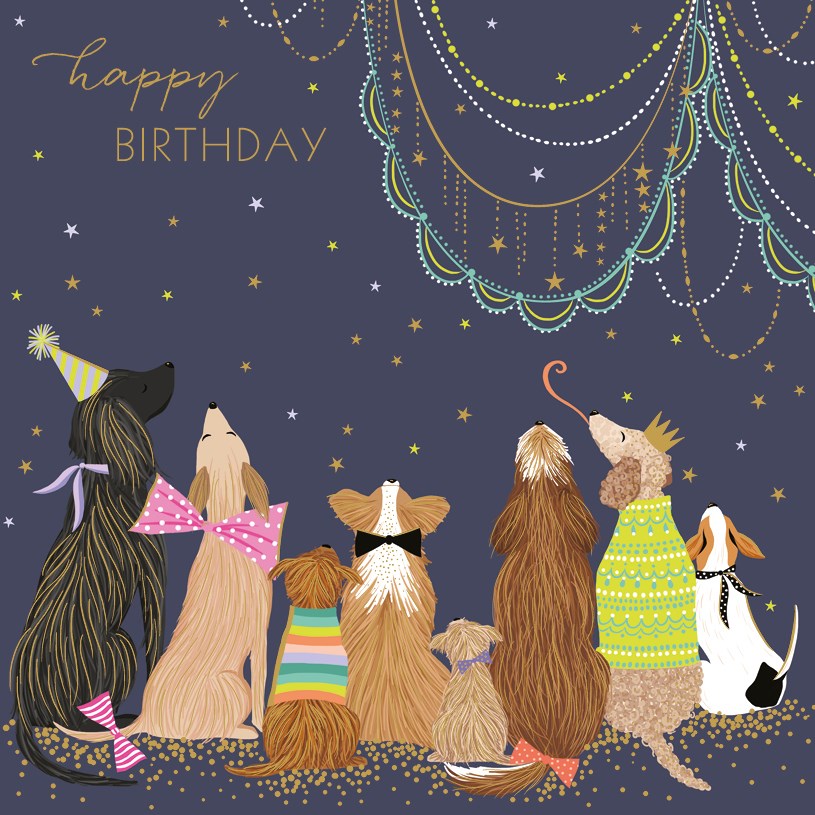 Party dogs birthday card - Daisy Park