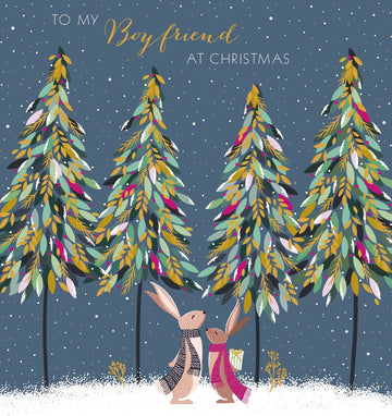 Boyfriend Christmas Card - Daisy Park