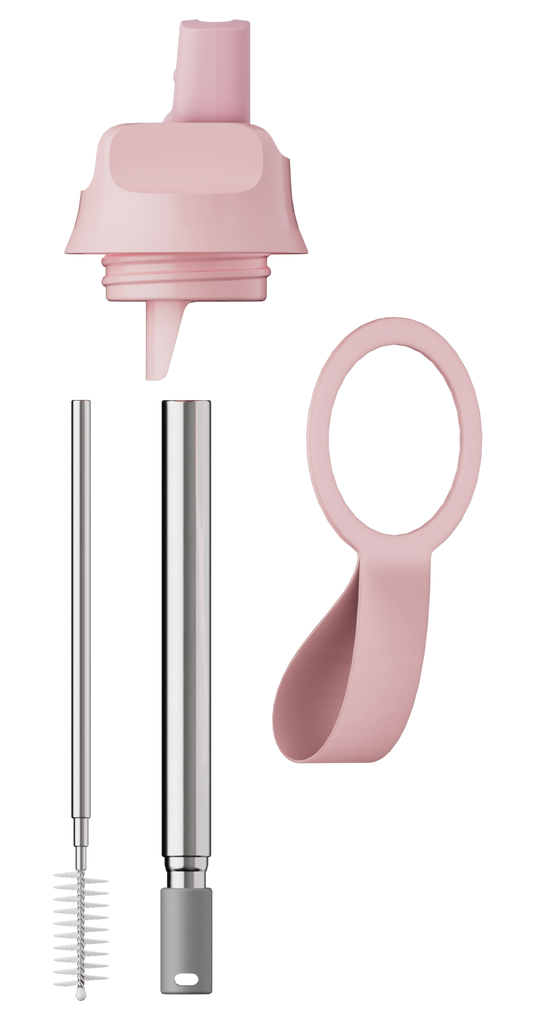 Series 2 Flip accessory bundle pink bundle - Daisy Park
