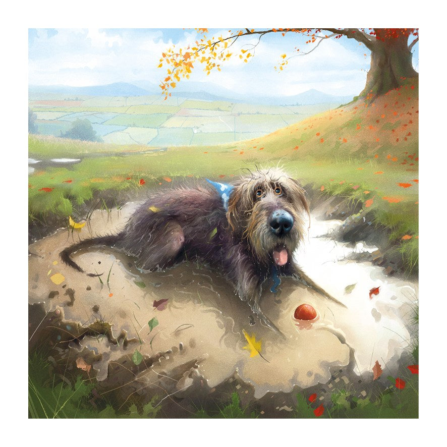 Toby Mud bath card - Daisy Park