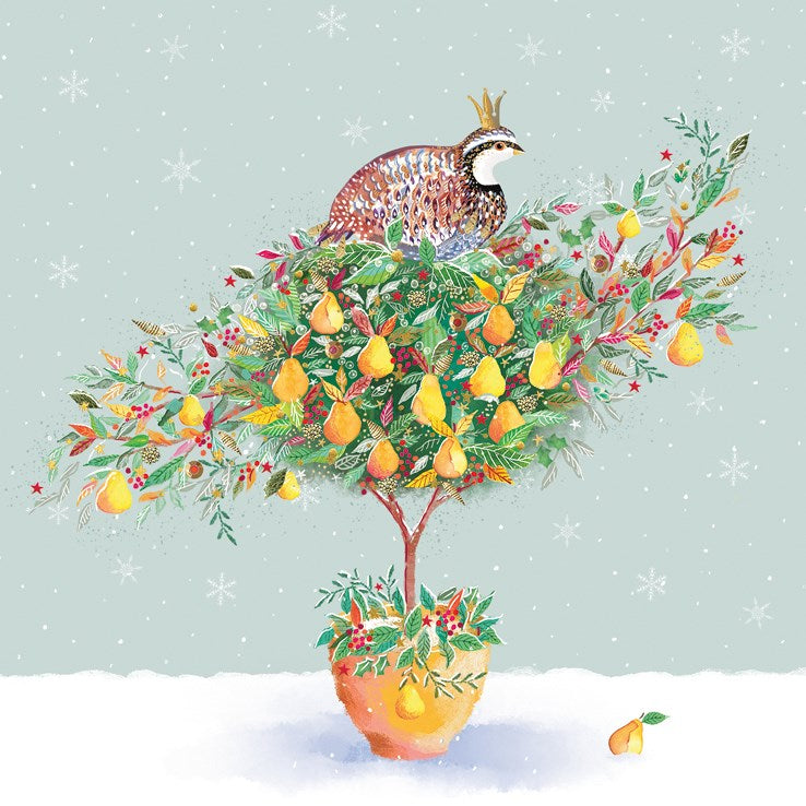 Partridge in a pear tree pack of Charity cards - Daisy Park