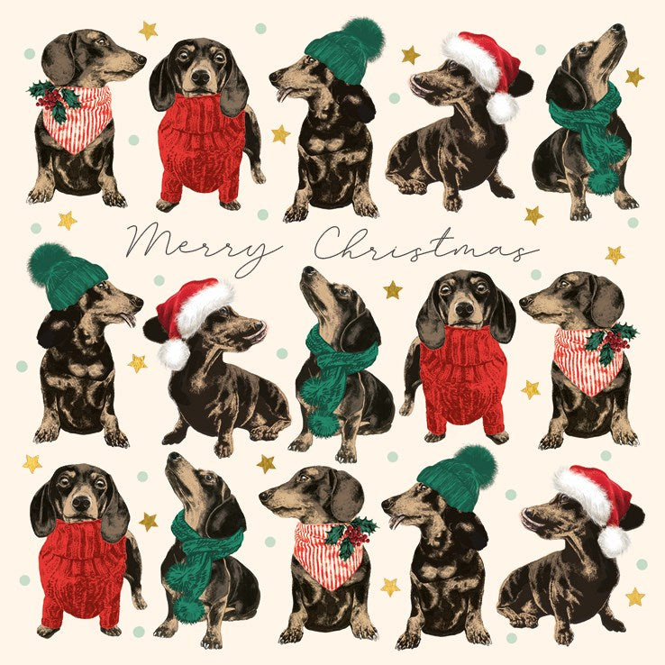 Merry Christmas Dachshunds pack of cards - Daisy Park