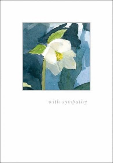 Hellebore Sympathy Card - Daisy Park