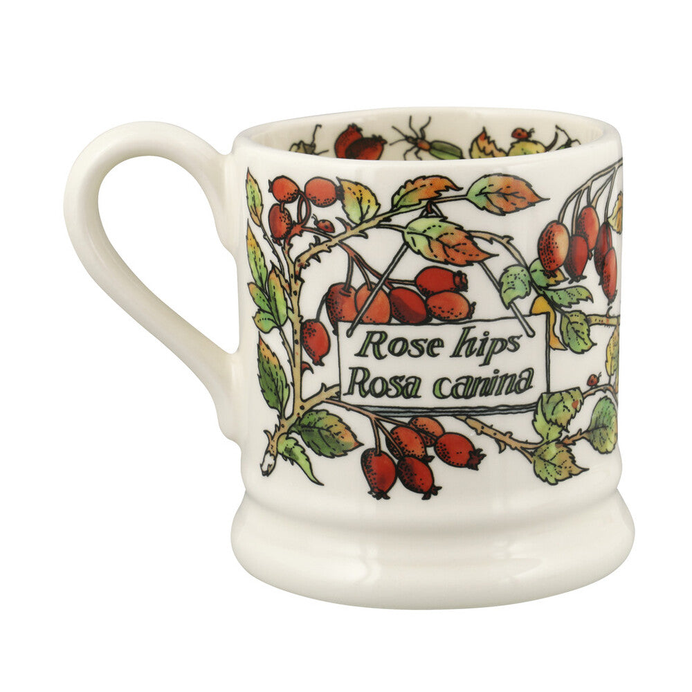 Emma Bridgewater Rosehip and Robin 1/2 Pint Mug - Daisy Park
