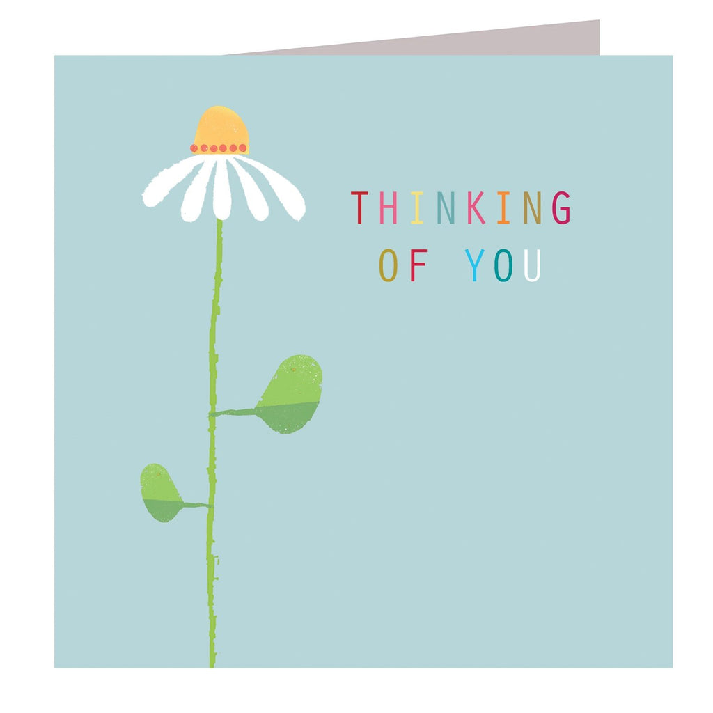 Thinking of you daisy card - Daisy Park
