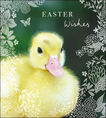 Easter Chick Card - Daisy Park
