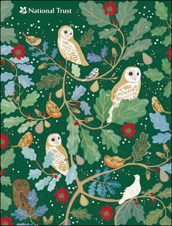 Owls in the winter - National Trust Advent Calendar - Daisy Park