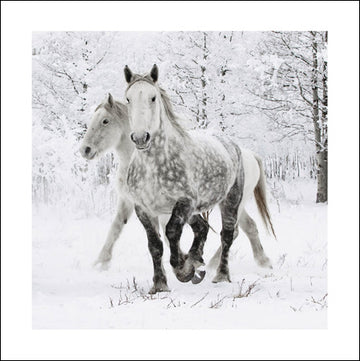 Snow Trail Ponies Christmas card - Daisy Park