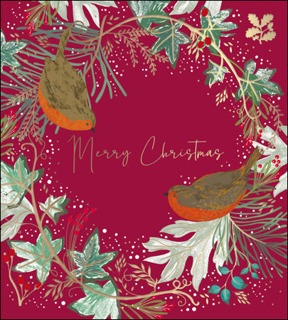 Christmas Robins pack of 5 cards - Charity pack - Daisy Park