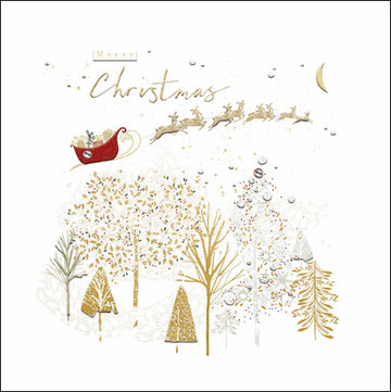Christmas Eve Christmas Card - Daisy Park