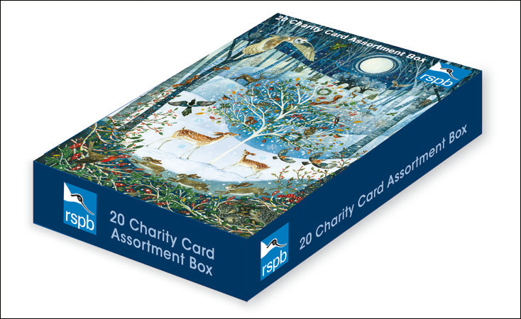 RSPB Box 2022 of Christmas Cards - Daisy Park
