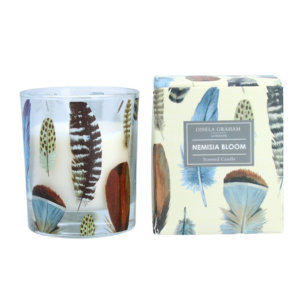 Feathers scented boxed candle pot - Daisy Park