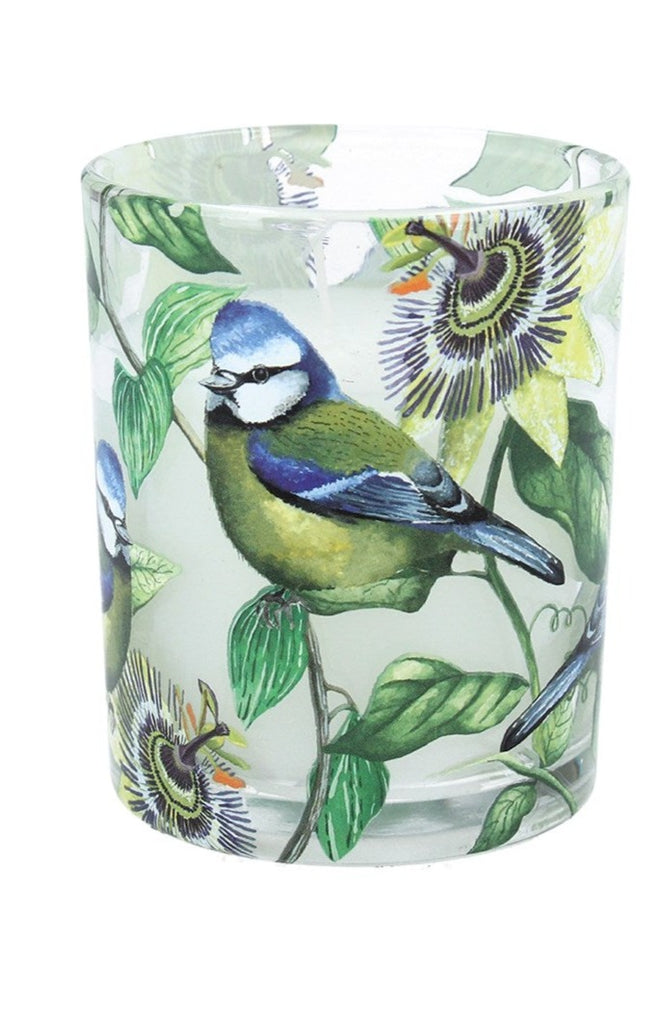 Blue tit and passion flower large boxed candle - Daisy Park