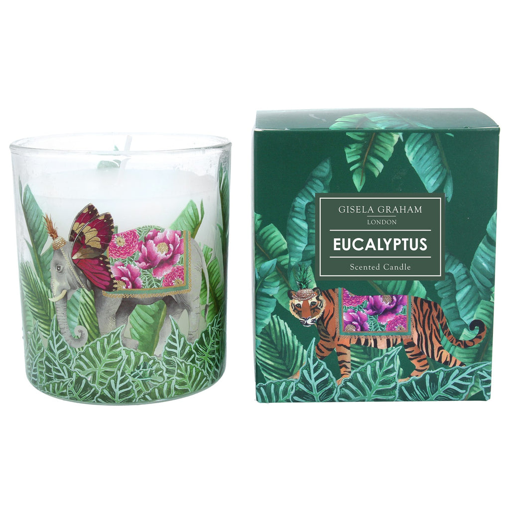 Tropic Fantasy scented large boxed candle - Daisy Park