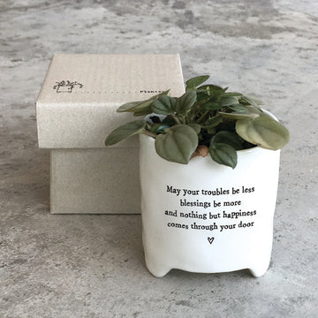 East of India May your troubles be less planter - Daisy Park