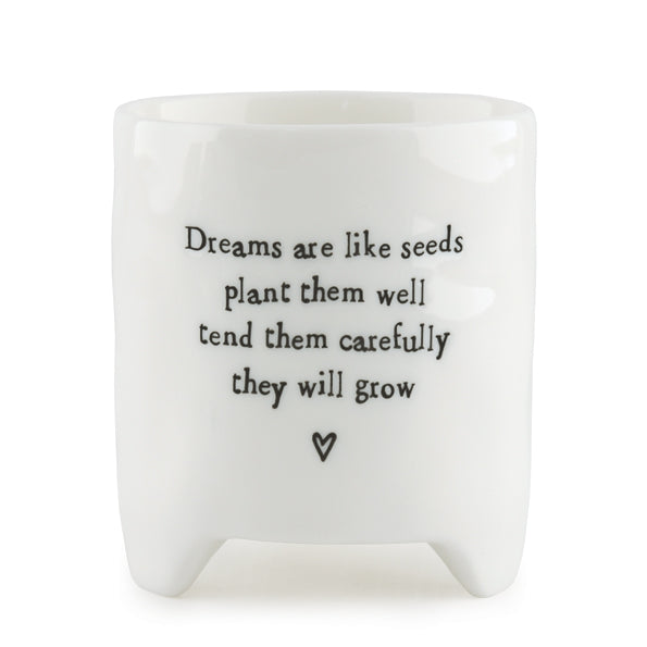 East of India Dreams are like seeds planter - Daisy Park