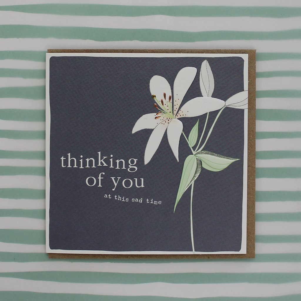 Thinking of you lily card - Daisy Park