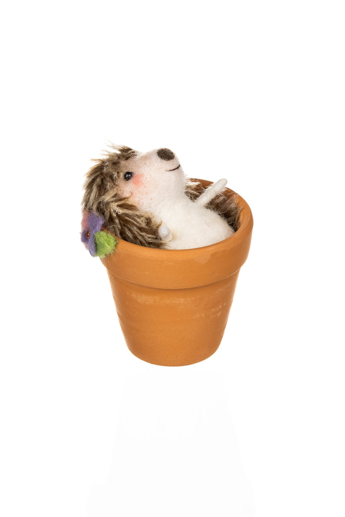 Hedgehog in pot - Daisy Park