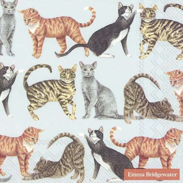 Emma Bridgewater all over cats lunch napkins - Daisy Park