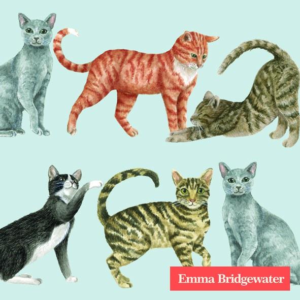 Emma Bridgewater Cats cocktail napkins - Daisy Park