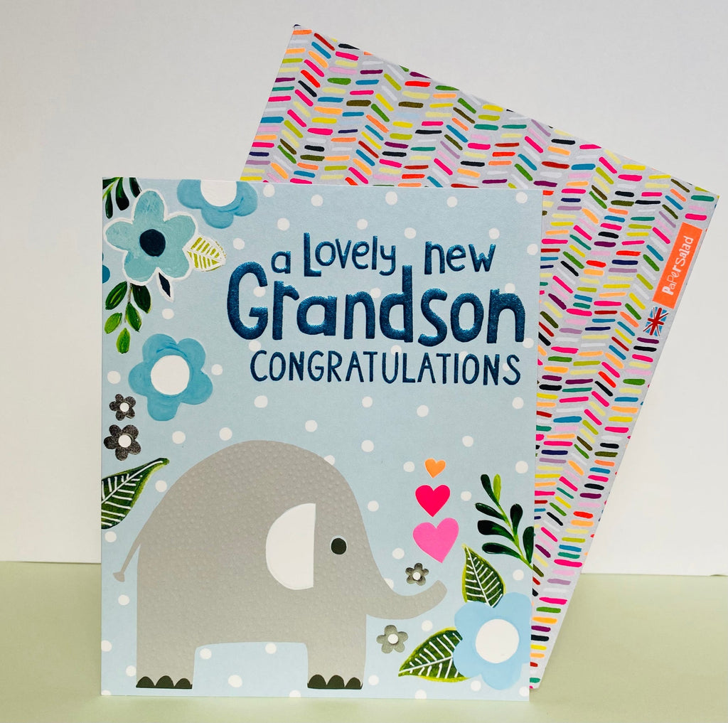 Lovely new Grandson card - Daisy Park
