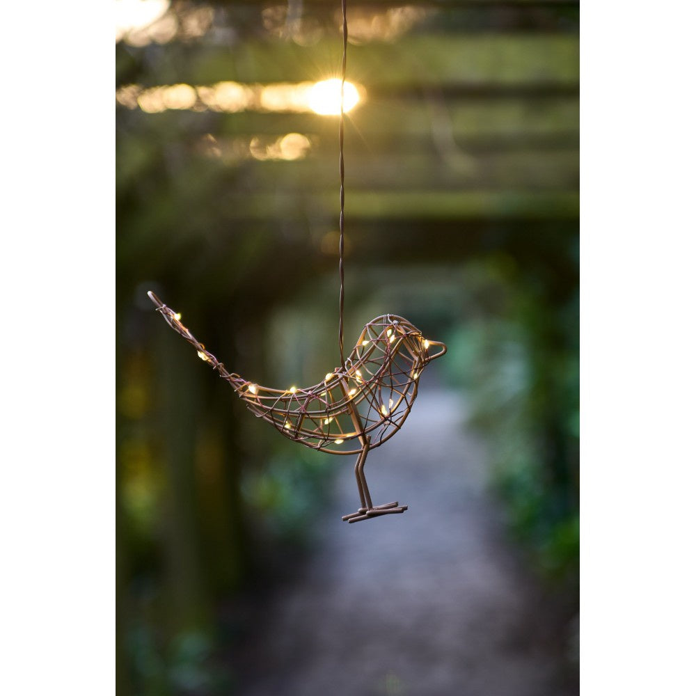 Hanging Robin light - Daisy Park