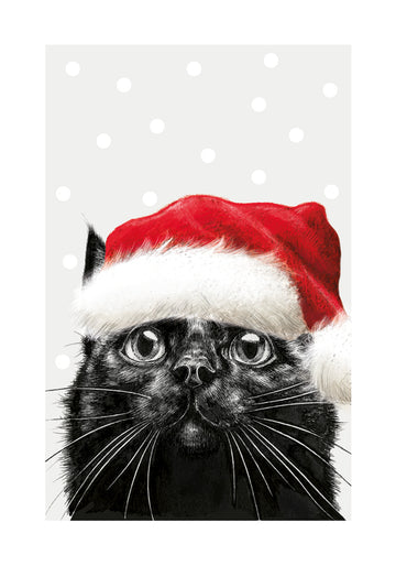 Christmas Black cat Christmas card - Daisy Park