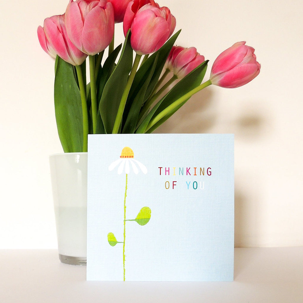 Thinking of you daisy card - Daisy Park